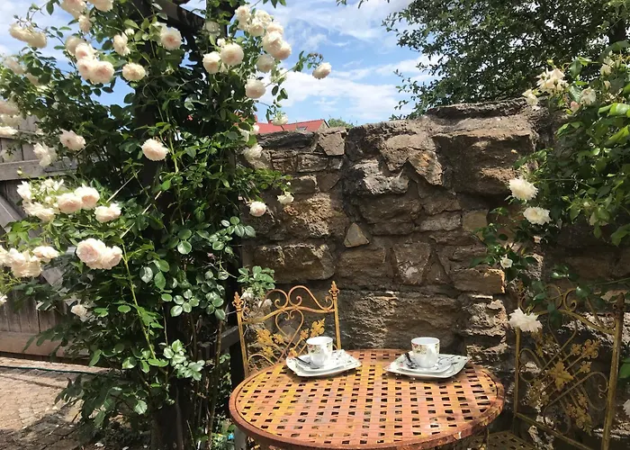 Daire Historisches Fachwerk-ferienhaus Mit Weinkeller Und Garten, Gute Lage Laucha (Thuringia)
