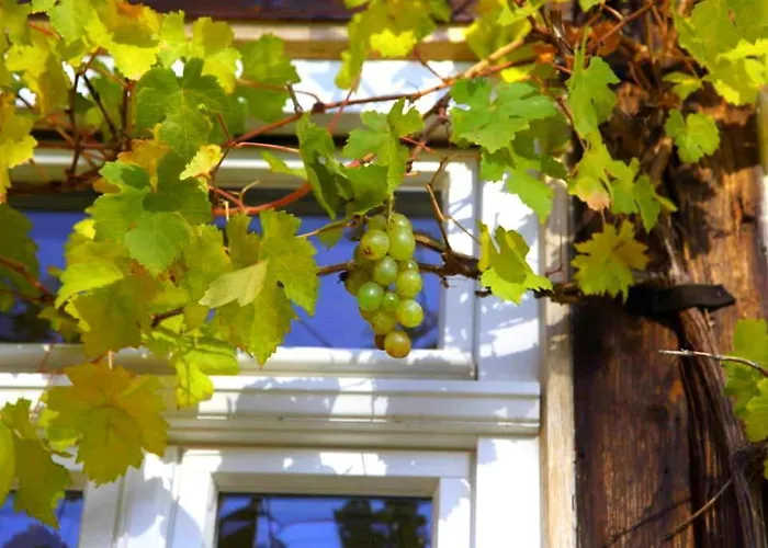 Daire Historisches Fachwerk-ferienhaus Mit Weinkeller Und Garten, Gute Lage *